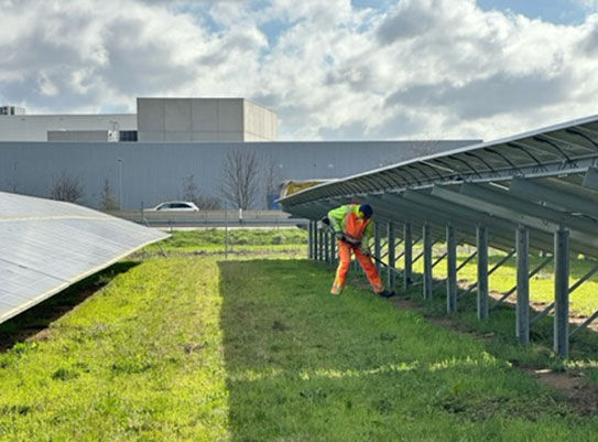 Grünpflege auf einem Solarfeld